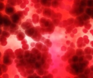 Read more about the article This AI Detects Cancer Through a Simple Blood test, with Remarkable Precocity