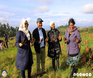 Read more about the article The Administration and Staff Members of the Institute Left Their Green Legacy Footprint By Joining the Campaign of Planting 600 Million Seedlings in a Single Day.