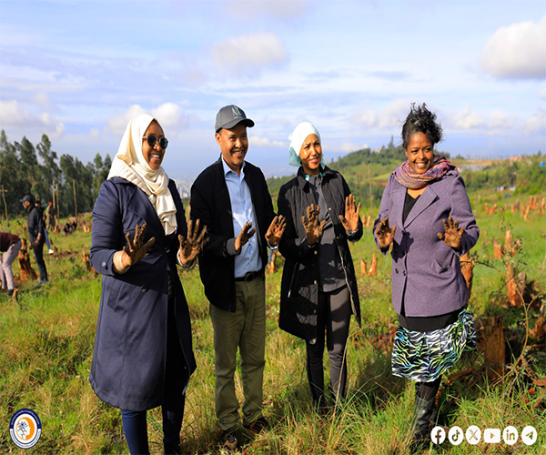 You are currently viewing The Administration and Staff Members of the Institute Left Their Green Legacy Footprint By Joining the Campaign of Planting 600 Million Seedlings in a Single Day.