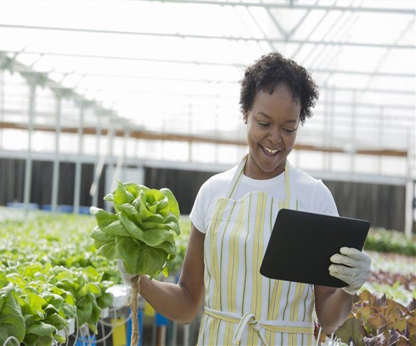 You are currently viewing AI in Agriculture: Will It Narrow or Expand the Gender Gap?